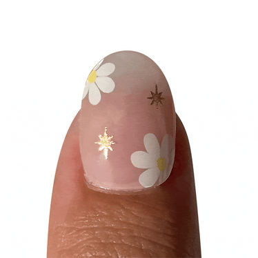 Daisy French Pink